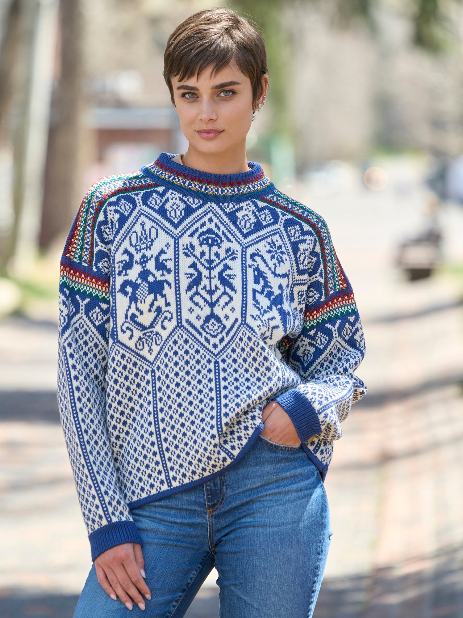 Nordic Blue Sweater